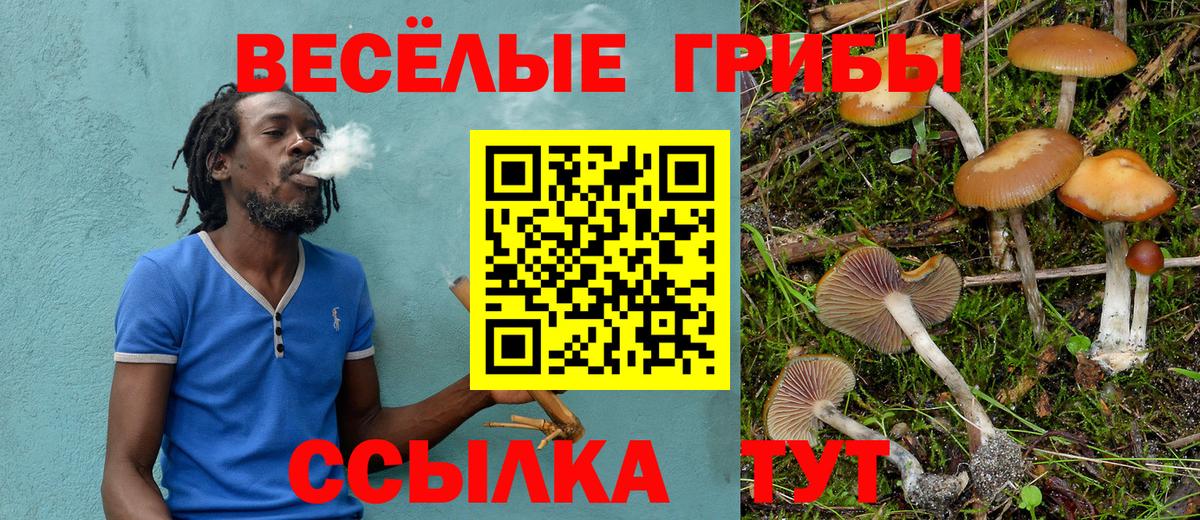 Псилоцибиновые грибы прущие грибы Малоярославец