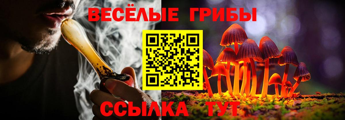 Галлюциногенные грибы Cubensis Малоярославец